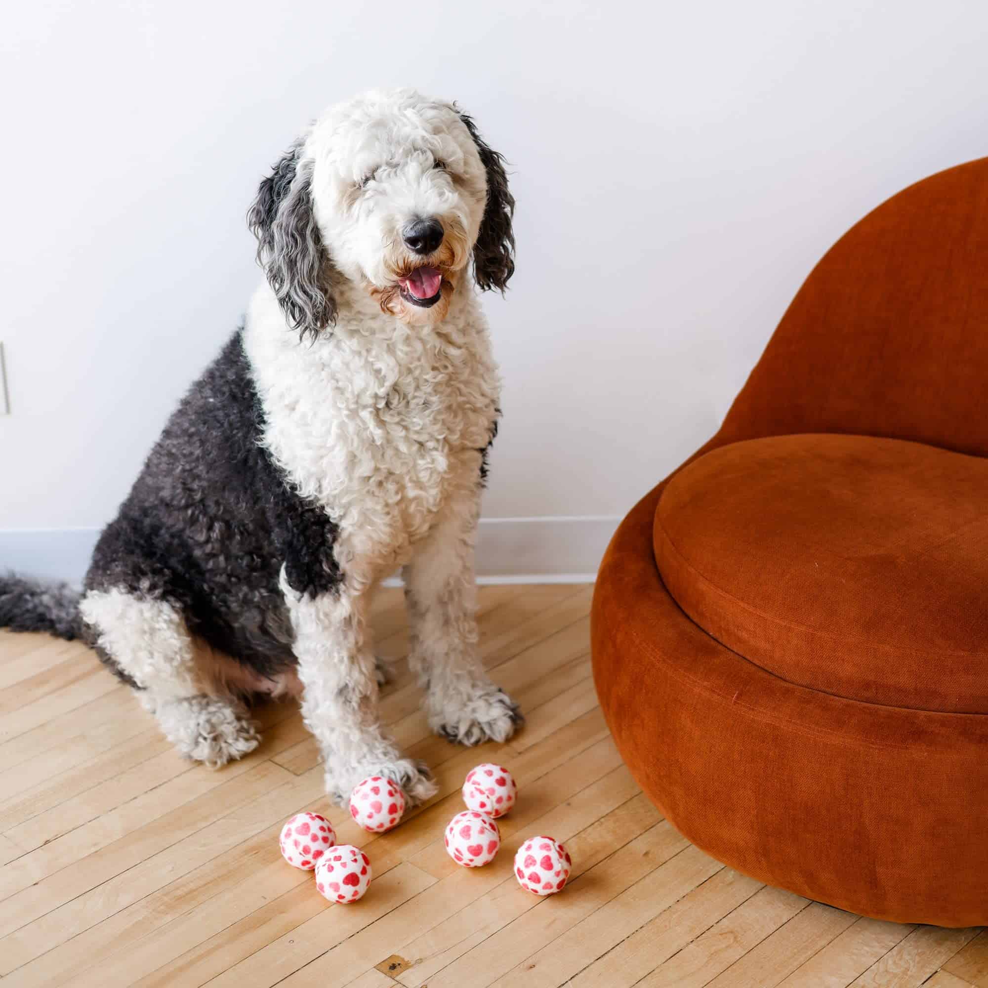 Pelotas de tenis para perros Midlee en forma de corazón de - Imagen 8
