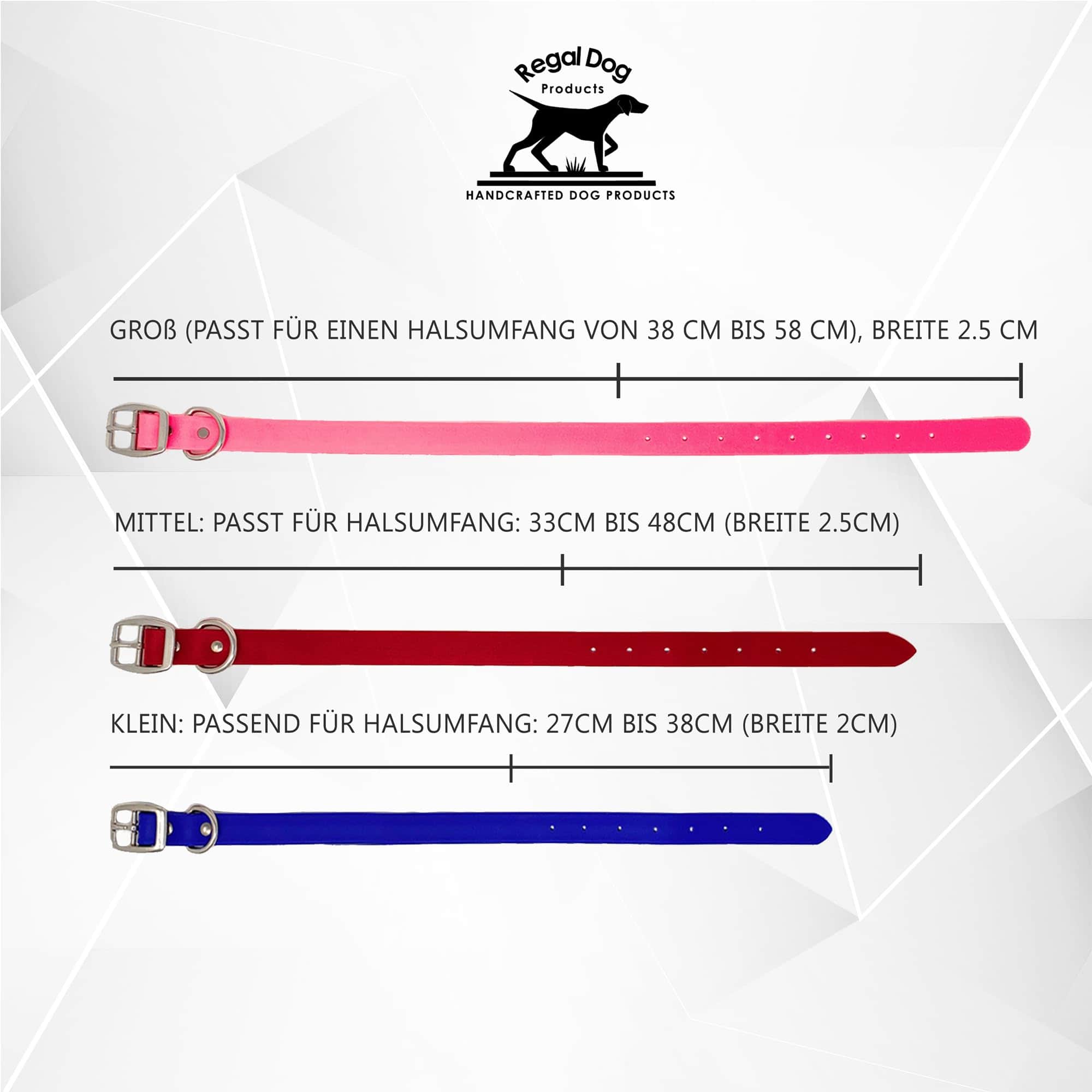 Conjunto de Collar y Correa para Perros Medianos de Regal - Imagen 3