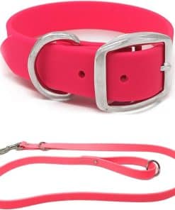 Conjunto de Collar y Correa para Perros Medianos de Regal