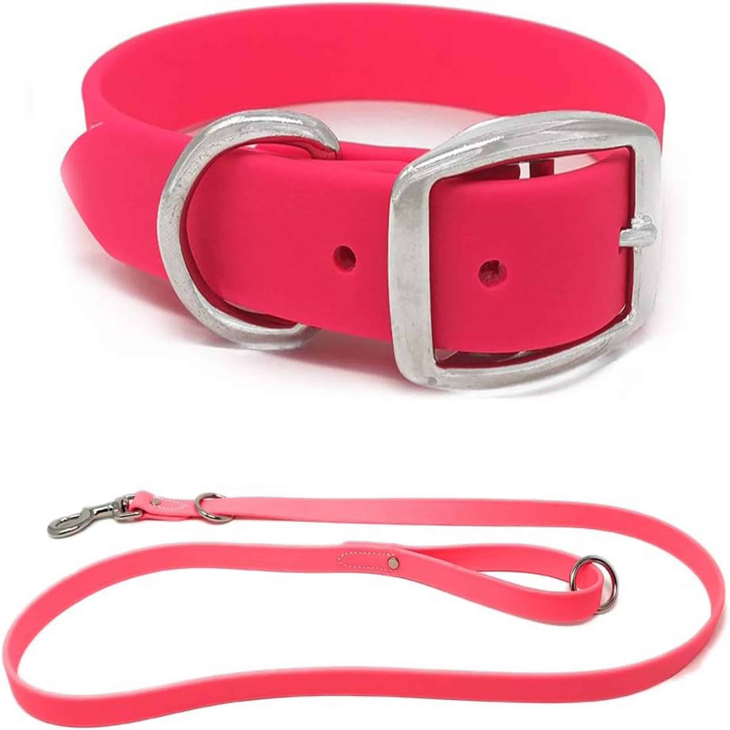Conjunto de Collar y Correa para Perros Medianos de Regal