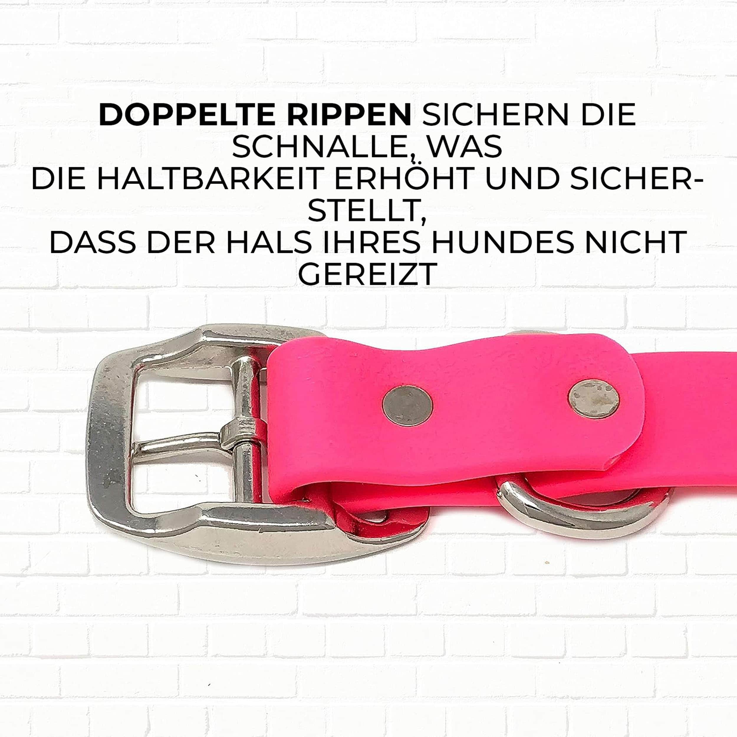 Conjunto de Collar y Correa para Perros Medianos de Regal - Imagen 7