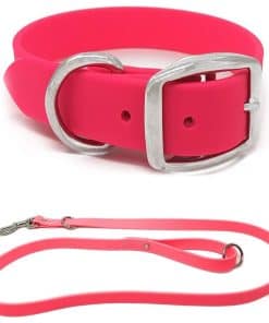 Conjunto de Collar y Correa Impermeables Rosados para