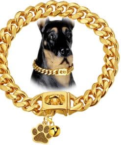 Collar para Perros de Cadena de Eslabones Cubanos LuxLife