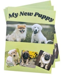 Carpeta de Información para Cachorros (Paquete de 10) -