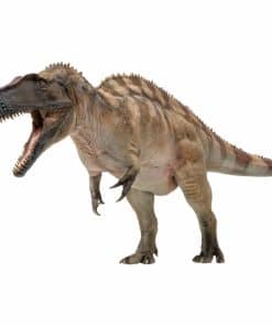 Modelos de Dinosaurios Prehistóricos PNSO (61Fergus el