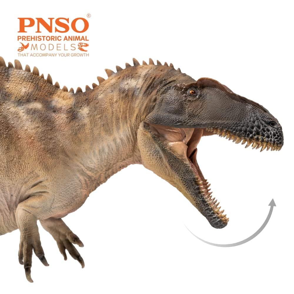 Modelos de Dinosaurios Prehistóricos PNSO (61Fergus el - Imagen 7