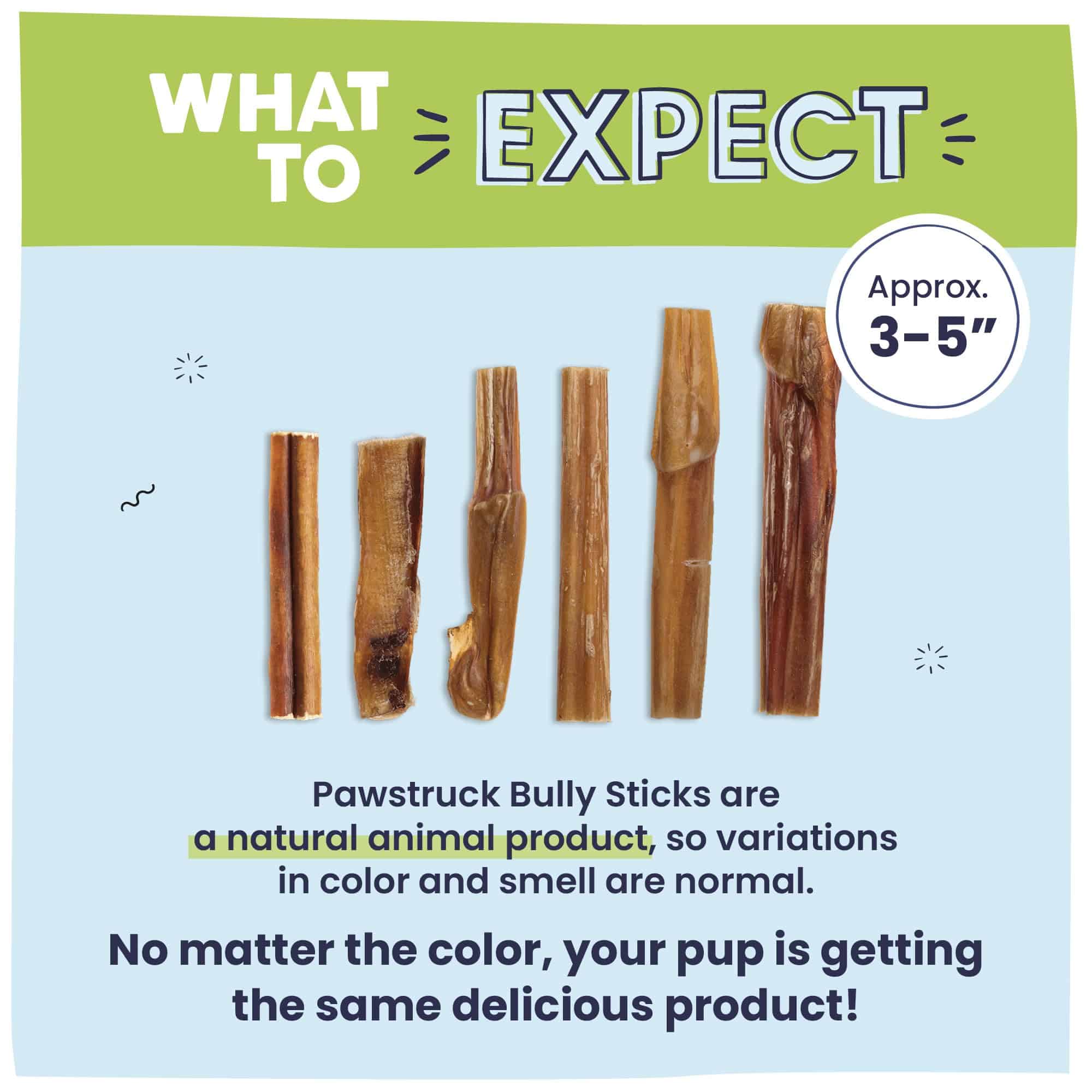 Pawstruck Natural 3-5" Bully Sticks para Perros Pequeños y - Imagen 9