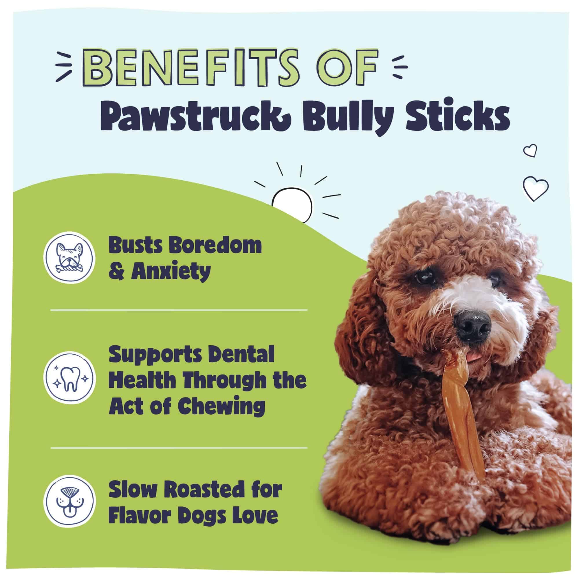 Pawstruck Natural 3-5" Bully Sticks para Perros Pequeños y - Imagen 3