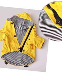 Impermeable para Perro Nuevo Pet Master Enamórate Amarillo