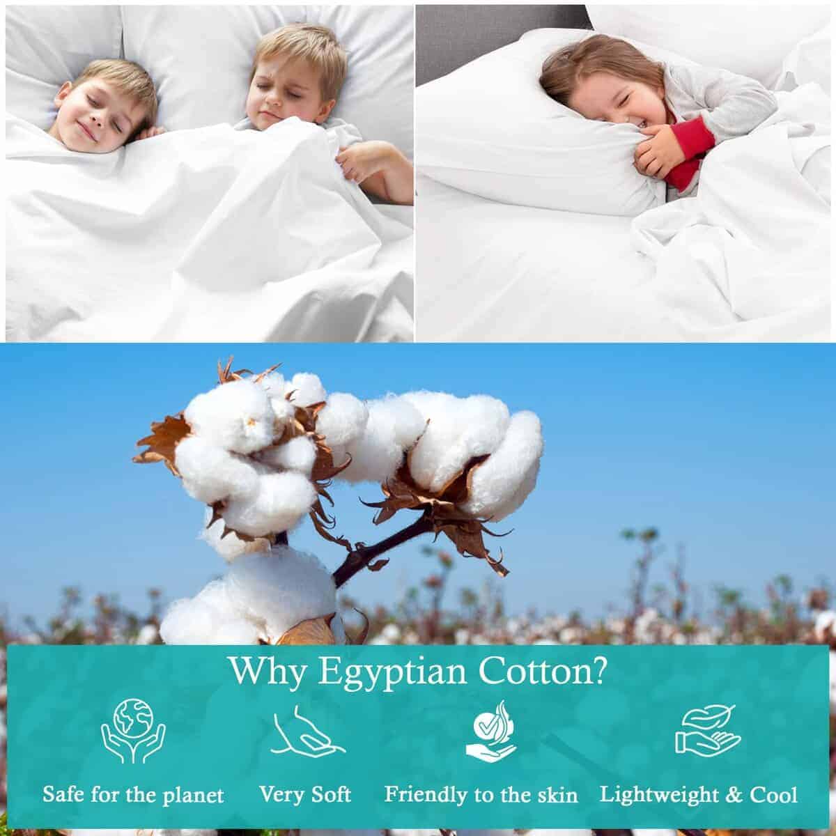 Set de 2 Fundas de Almohada Kotton Wama 600 TC -Azul Claro - Imagen 6