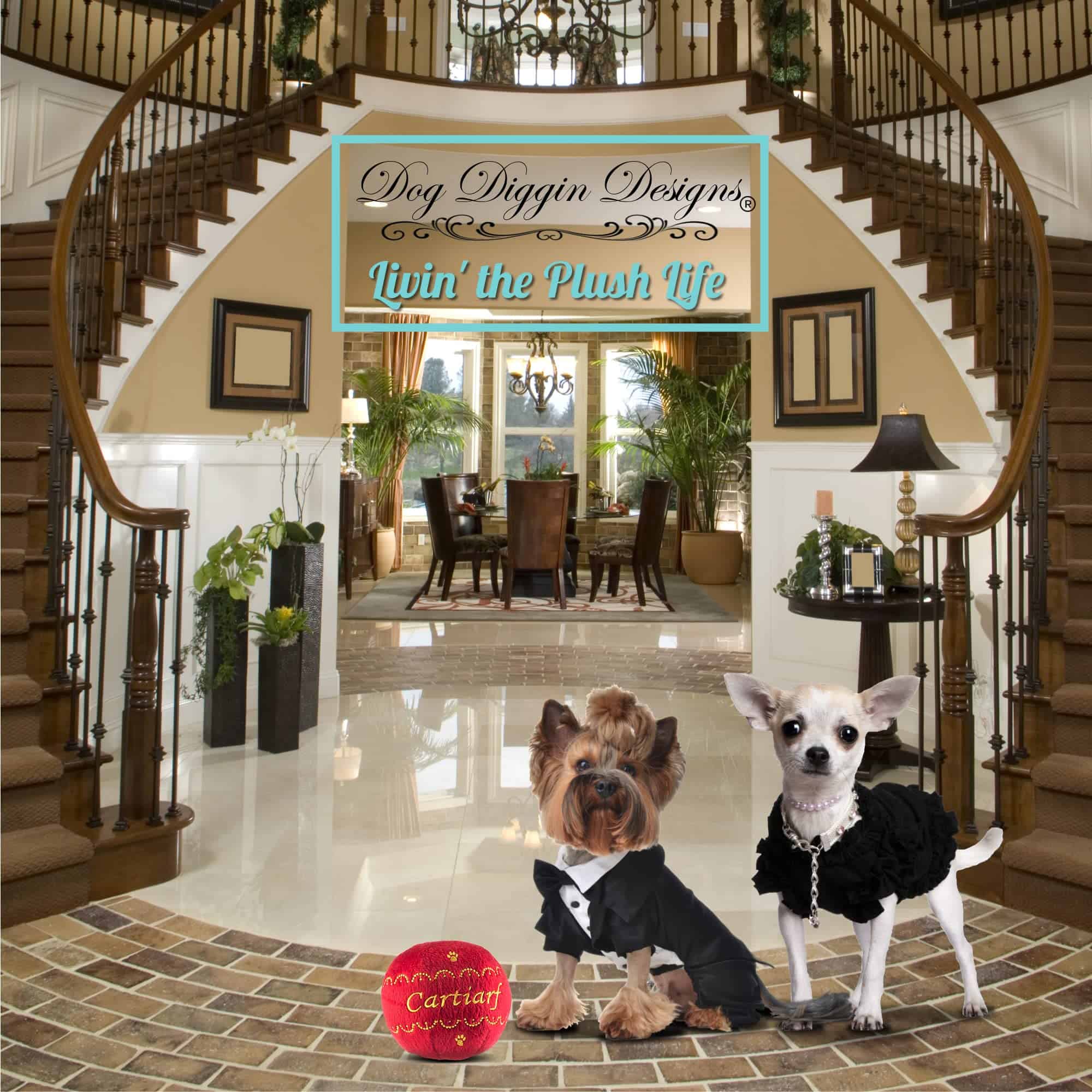 Colección Runway Pup de Dog Diggin Designs | Juguetes de - Imagen 4