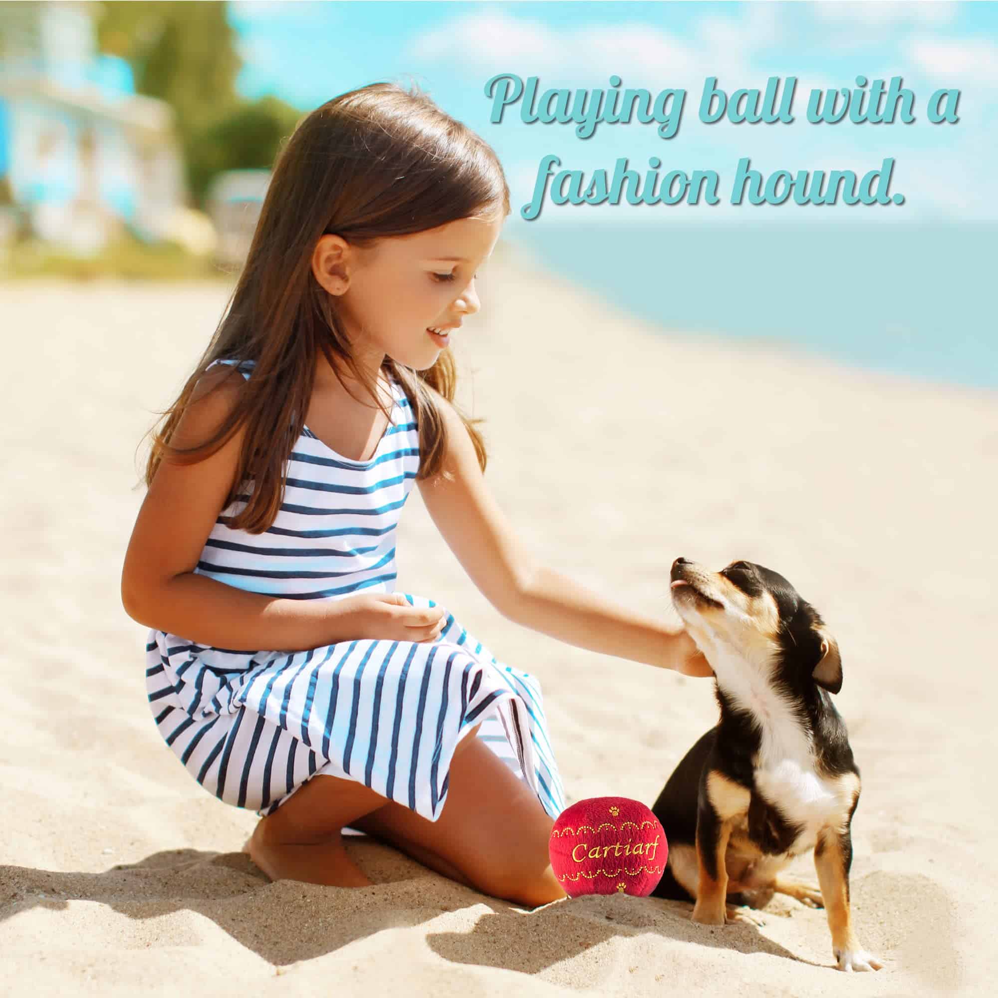 Colección Runway Pup de Dog Diggin Designs | Juguetes de - Imagen 5