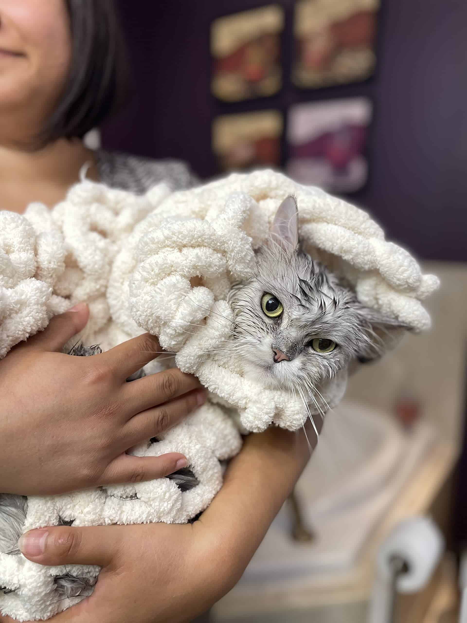 Manta de Punto Grueso | Suave y Acogedora Manta de Chenilla - Imagen 9