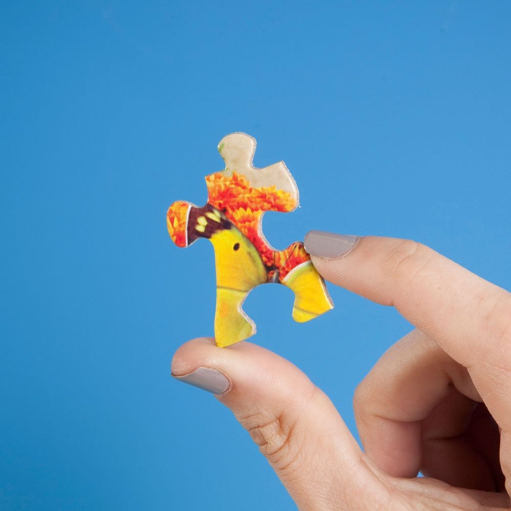 Bits and Pieces - Paquete de 6 en 1 - Rompecabezas de 300, - Imagen 5