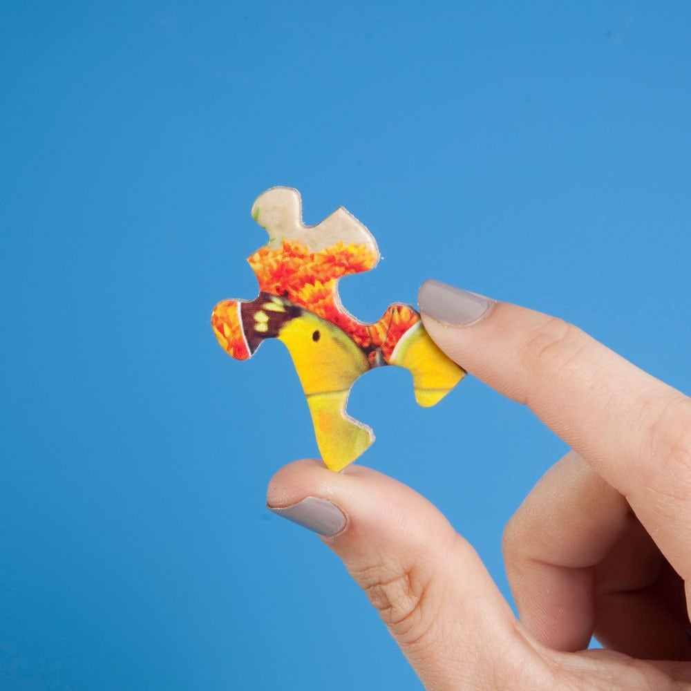 Bits and Pieces - Paquete de 6 en 1 - Rompecabezas de 300, - Imagen 6