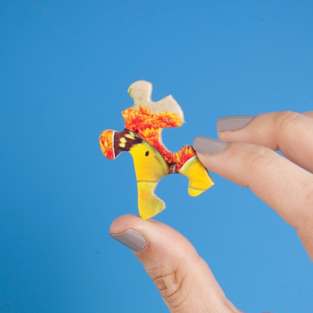 Bits and Pieces - Paquete de 6 en 1 - Rompecabezas de 300, - Imagen 7