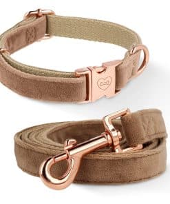 Conjunto de Collar y Correa de Terciopelo para Perros,