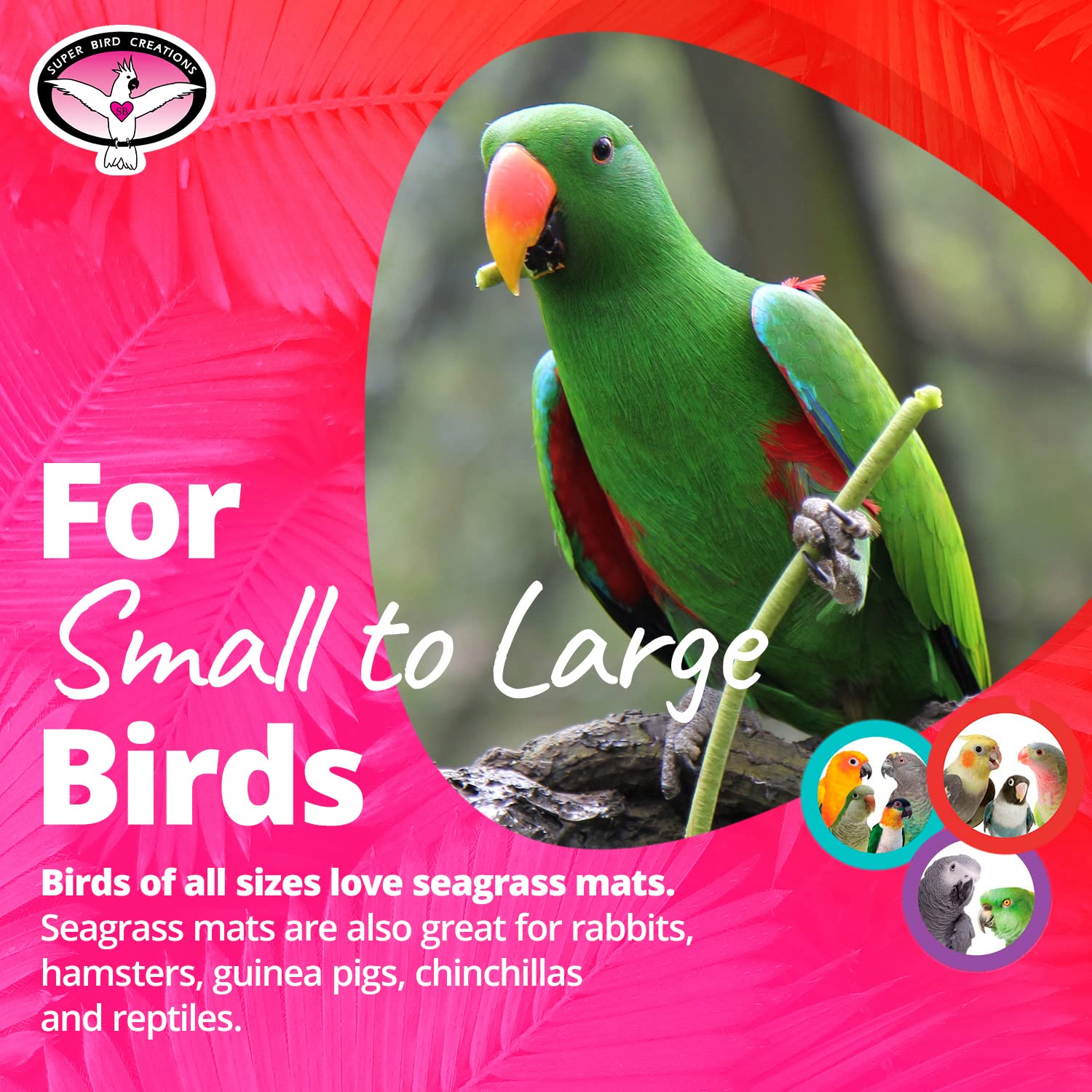 Super Bird Creations SB50008 Tapete de Yute para Decoración - Imagen 4