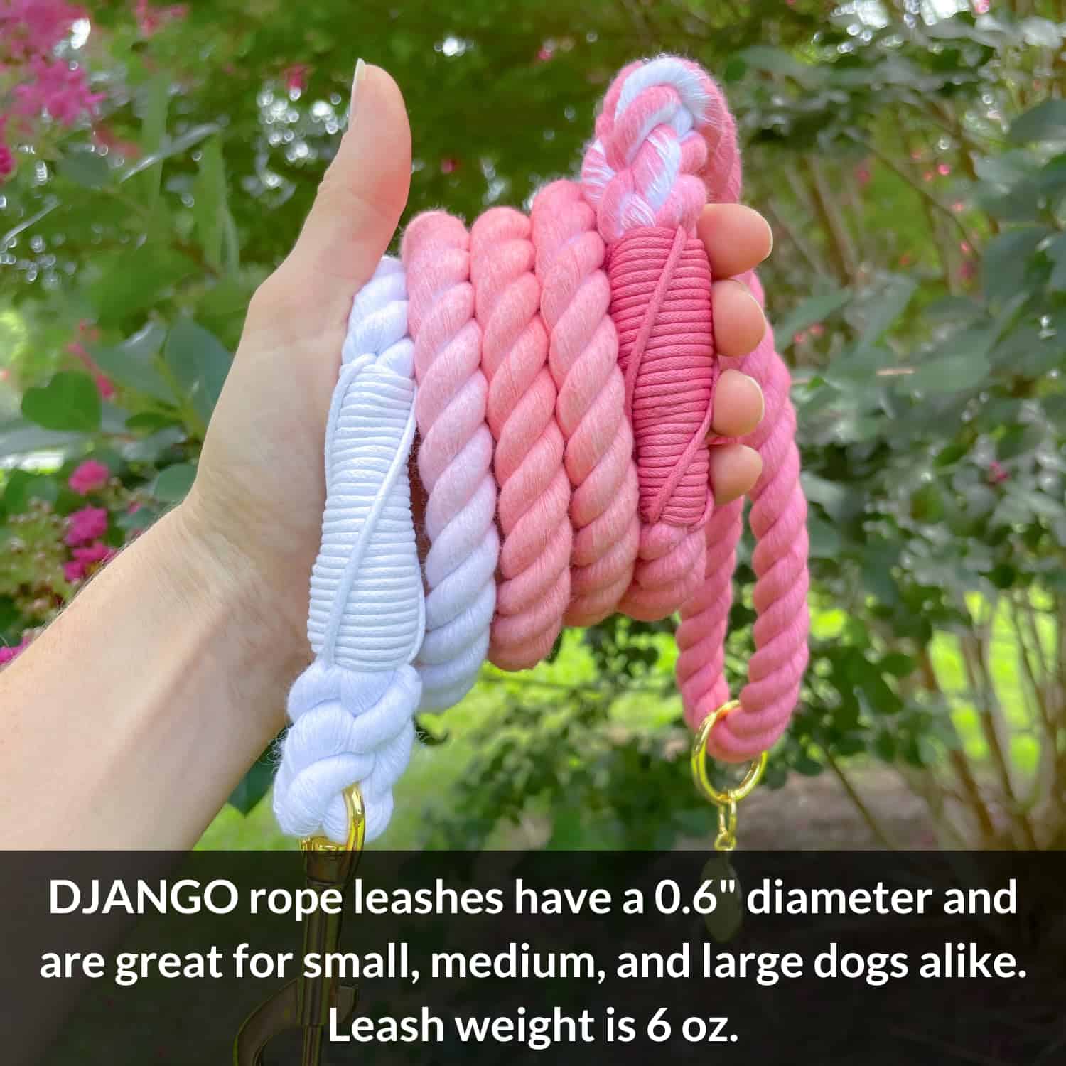 Correa de algodón para perros DJANGO | 5 FT Ombre Correa de - Imagen 4