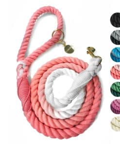 Correa de algodón para perros DJANGO | 5 FT Ombre Correa de