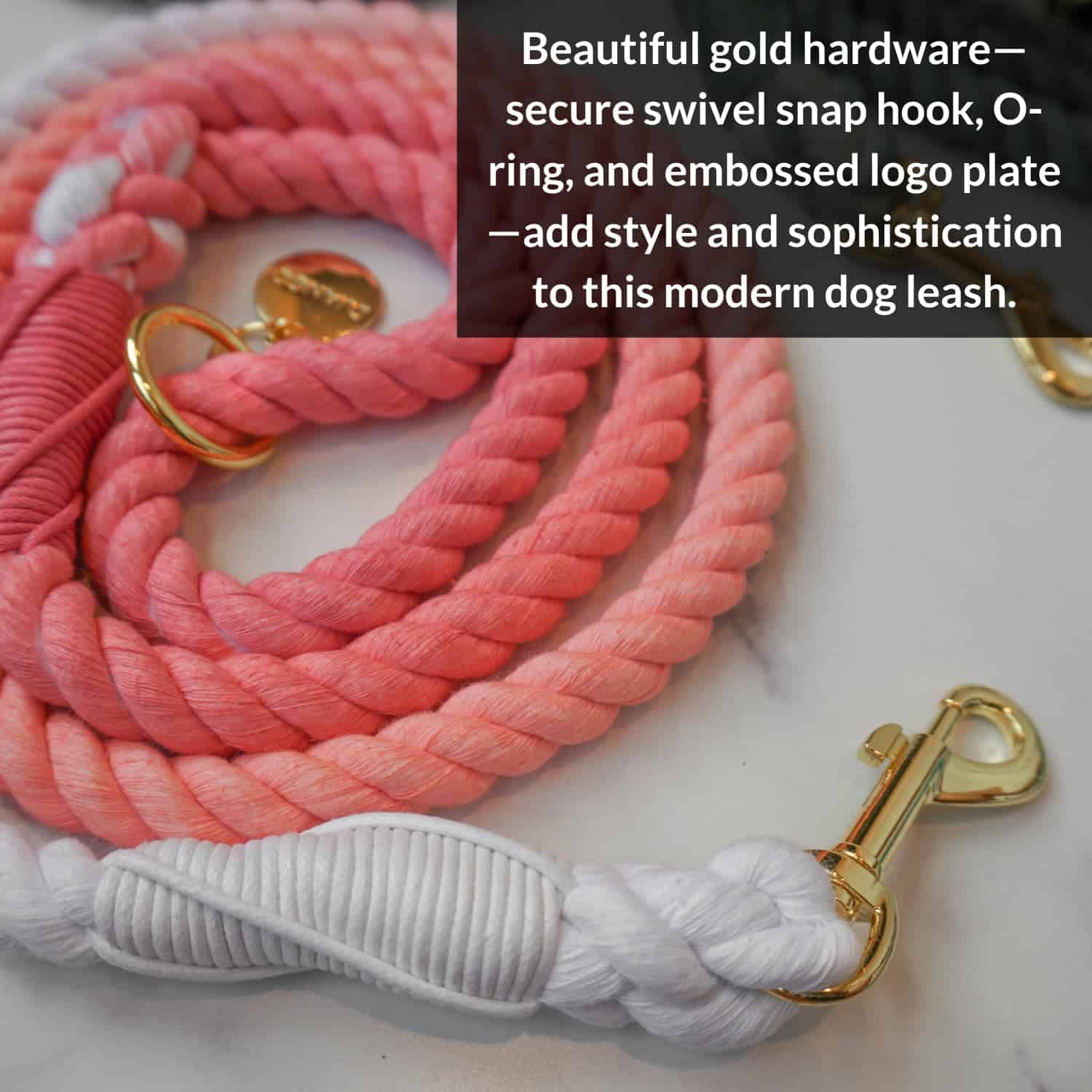 Correa de algodón para perros DJANGO | 5 FT Ombre Correa de - Imagen 5