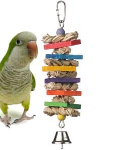 Super Bird Creations SB51095 - Juguete para pájaros de