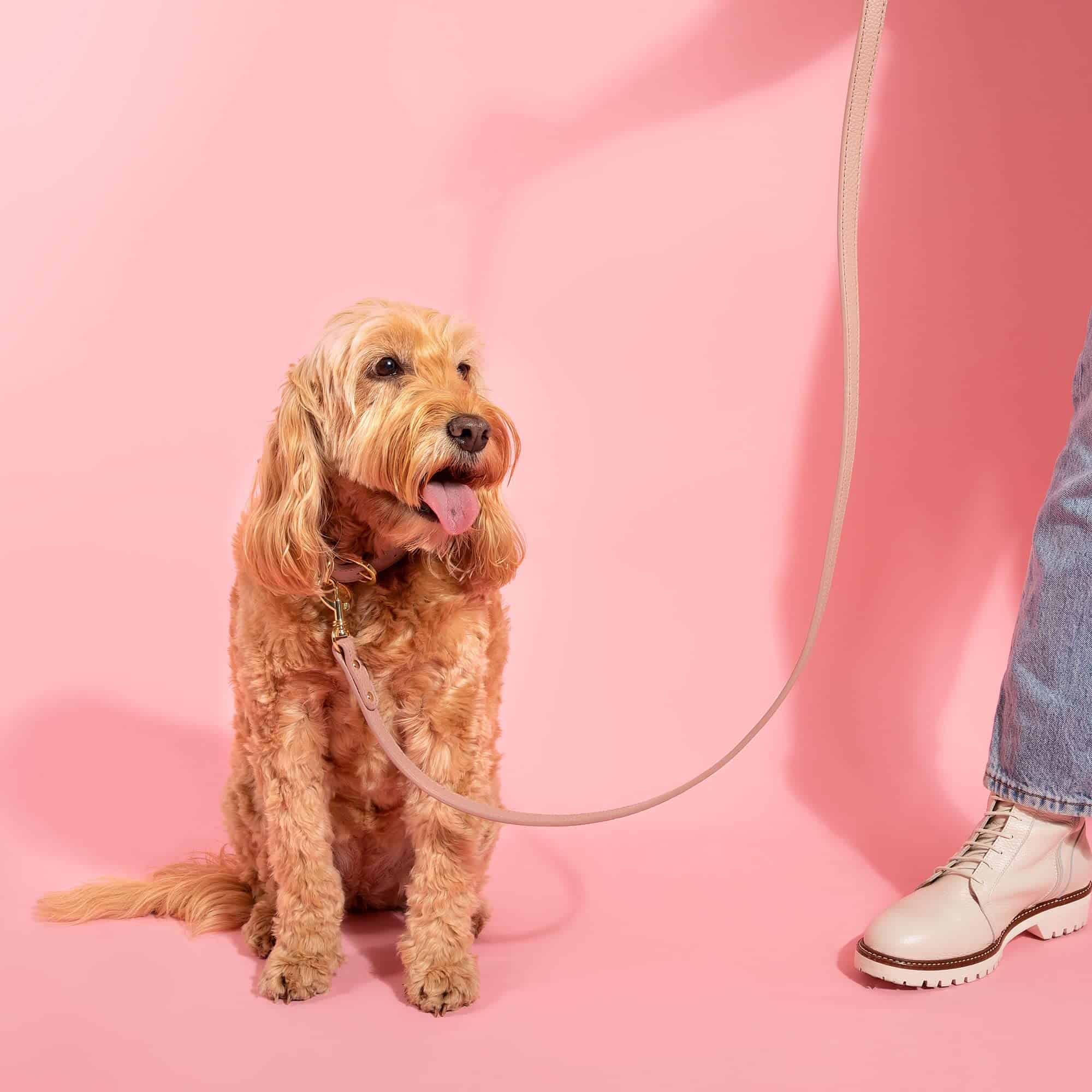 Correa para perro de cuero vegano de 47 pulgadas Katie - Imagen 7