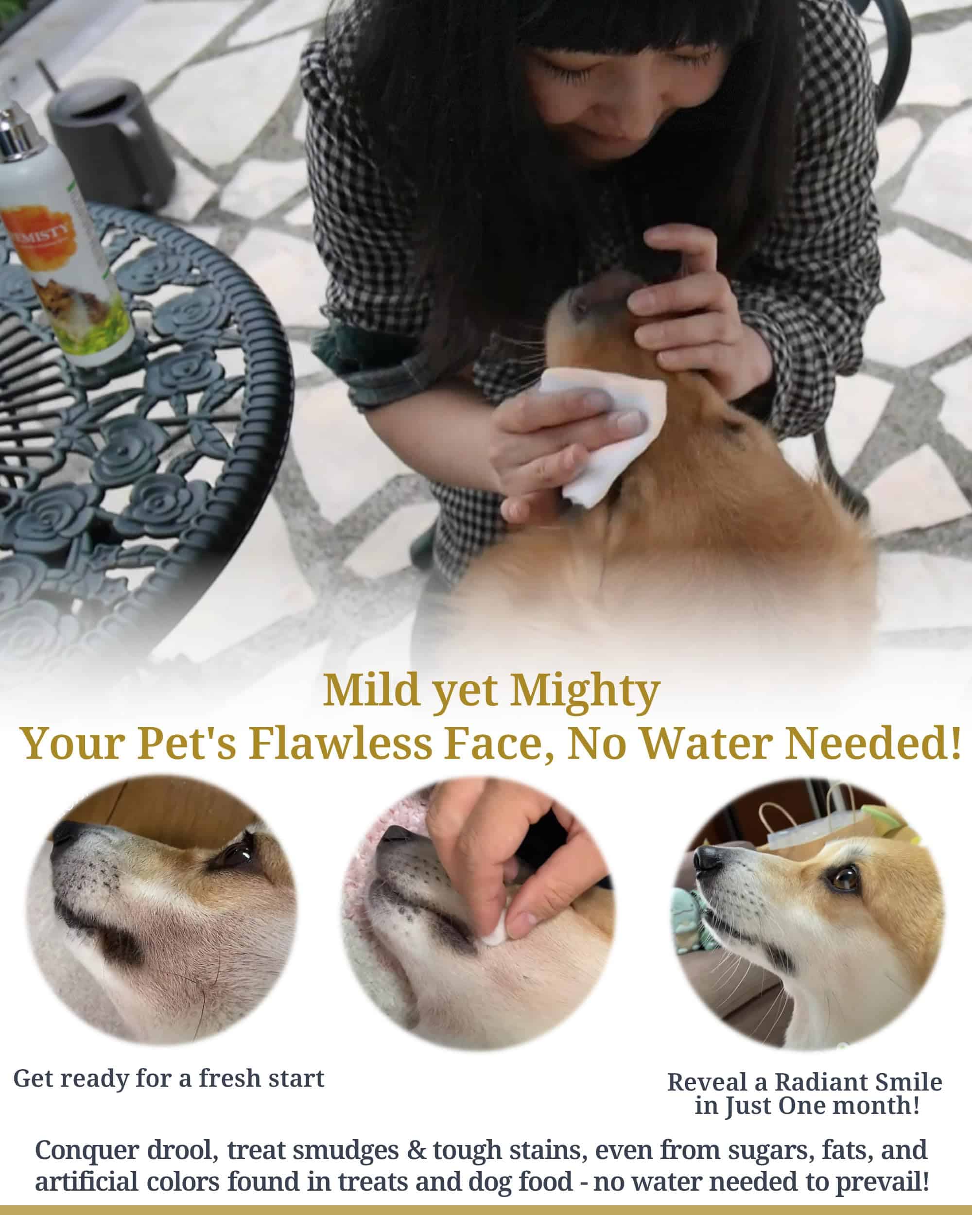 PREMISTY Champú Seco para Perros - Champú para Mascotas sin - Imagen 6