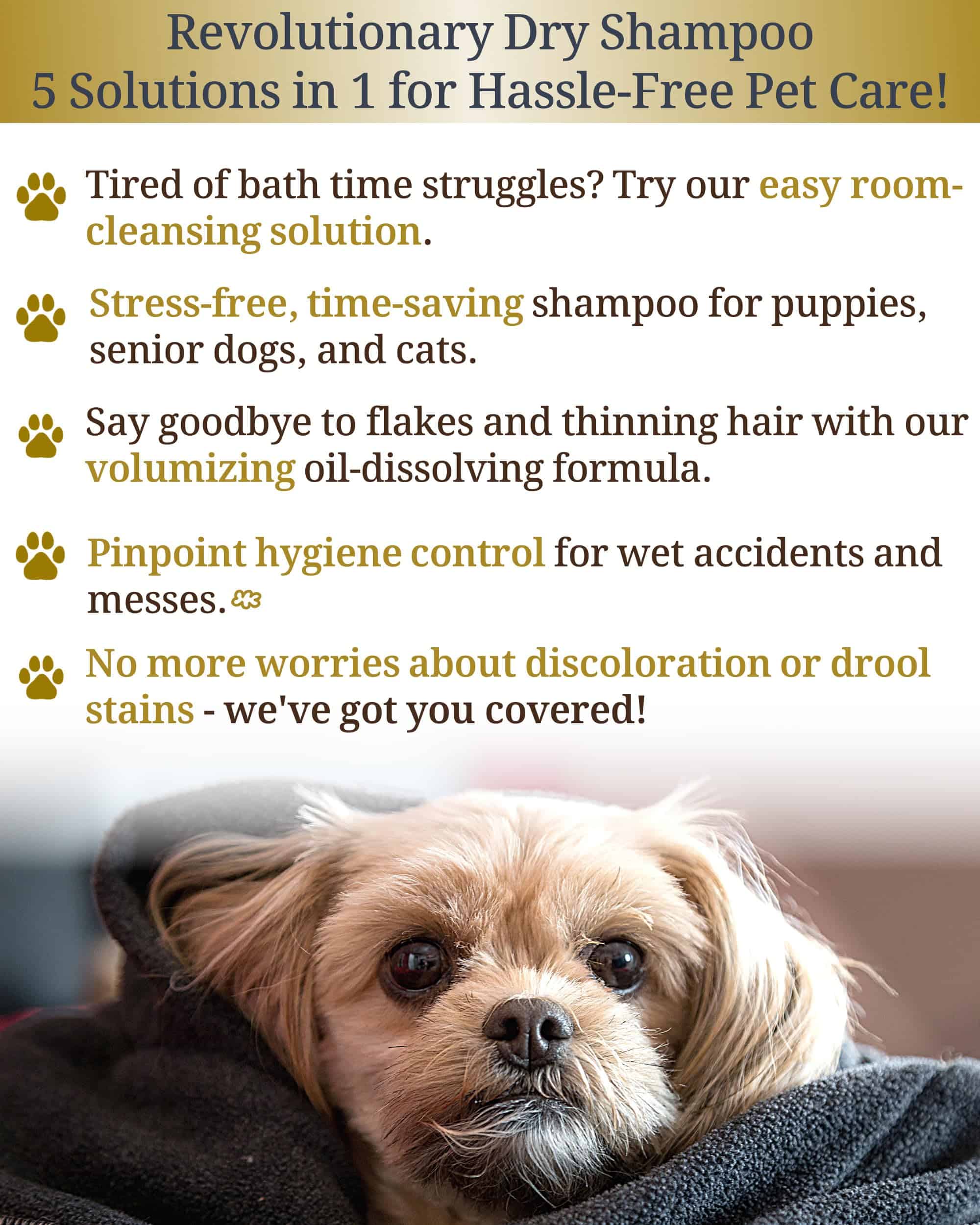 PREMISTY Champú Seco para Perros - Champú para Mascotas sin - Imagen 5