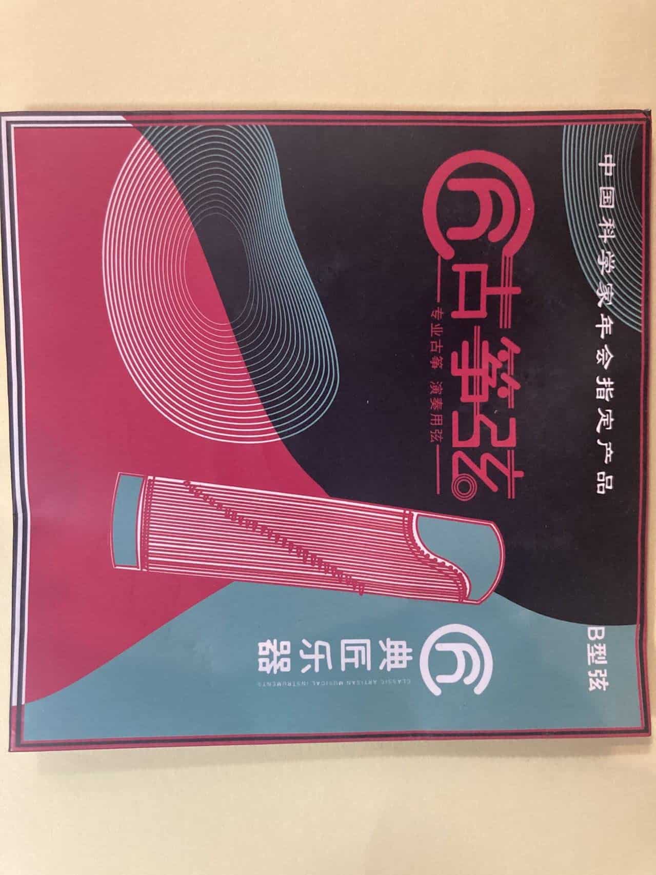 Cuerdas de Guzheng de Acero y Nailon Accesorio para Guzheng - Imagen 10