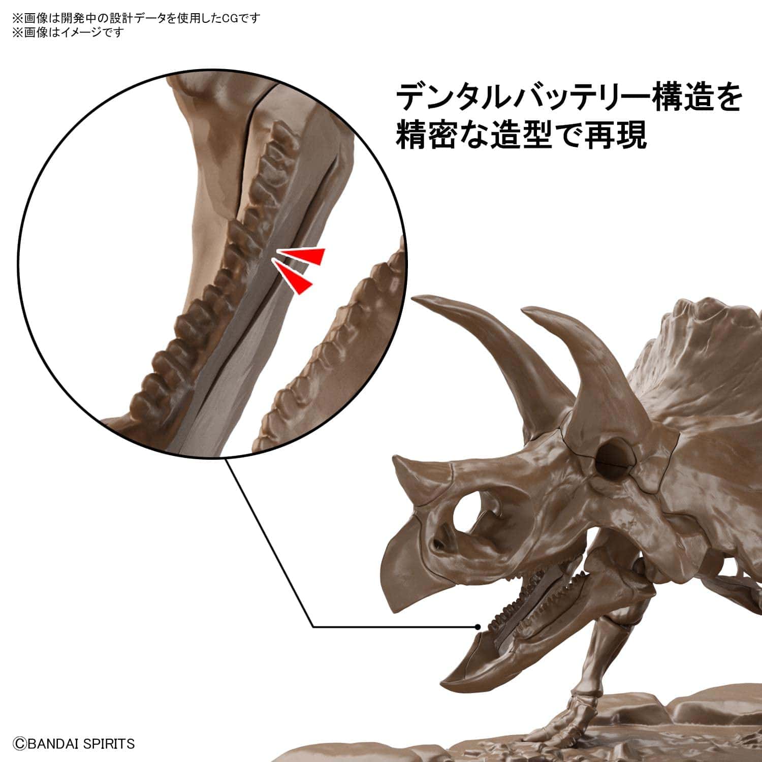 Bandai Hobby - 1/32 Esqueleto Imaginario Triceratops - Imagen 8