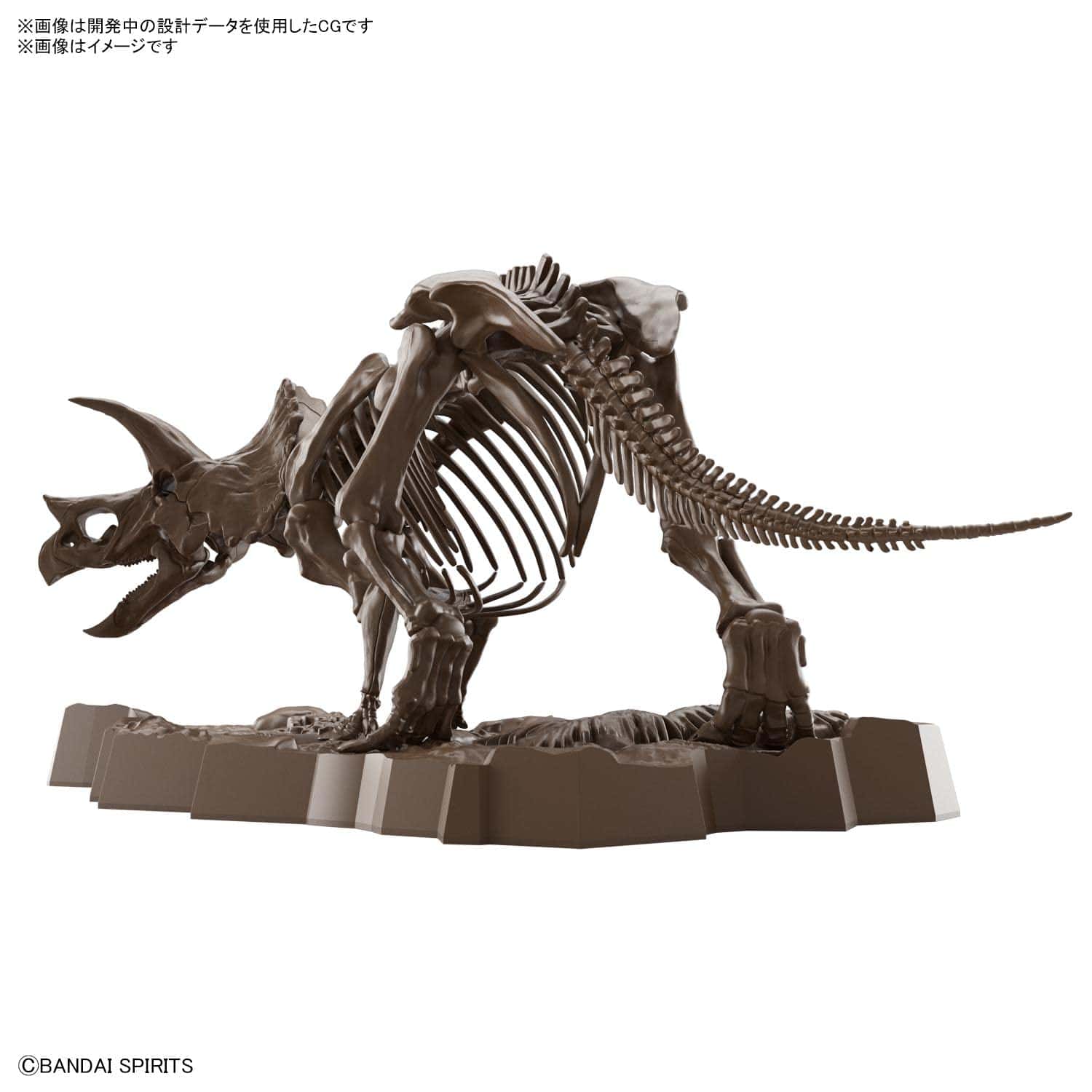 Bandai Hobby - 1/32 Esqueleto Imaginario Triceratops - Imagen 3