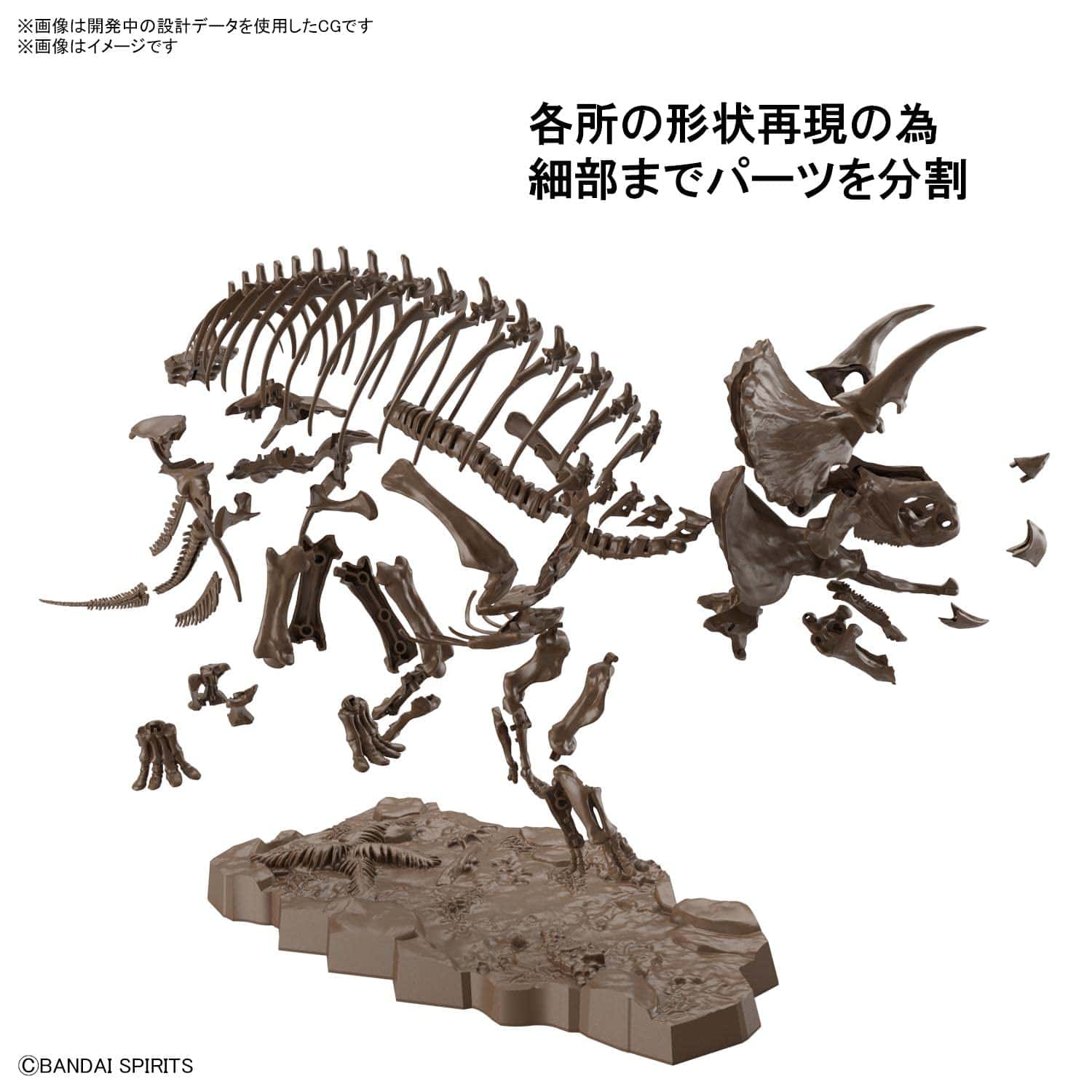 Bandai Hobby - 1/32 Esqueleto Imaginario Triceratops - Imagen 5