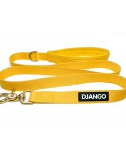 Correa de Perro de Aventura DJANGO - Resistente, Cómoda y