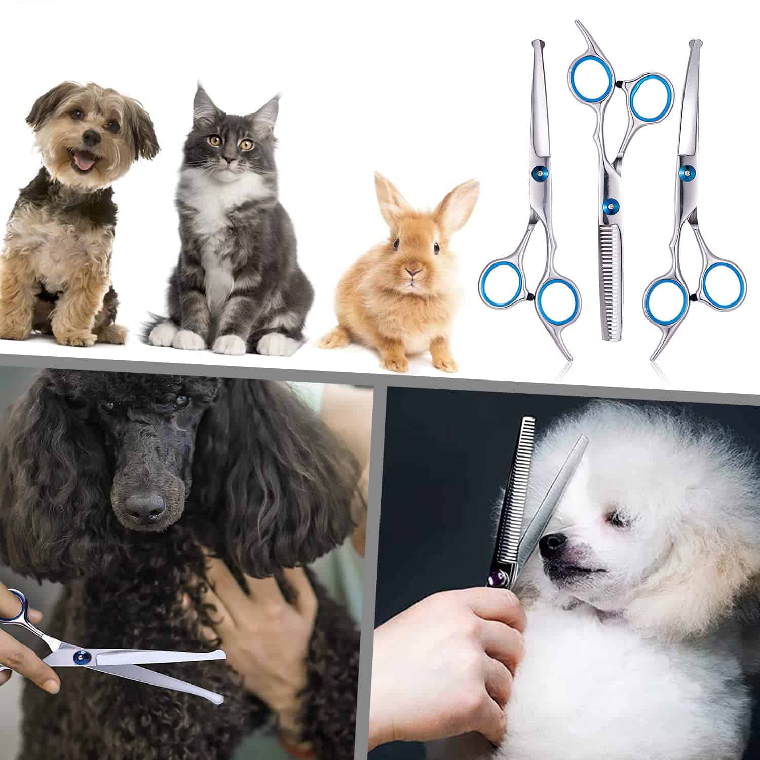 Juego de tijeras para el cuidado de mascotas Roziapro 4CR - Imagen 6