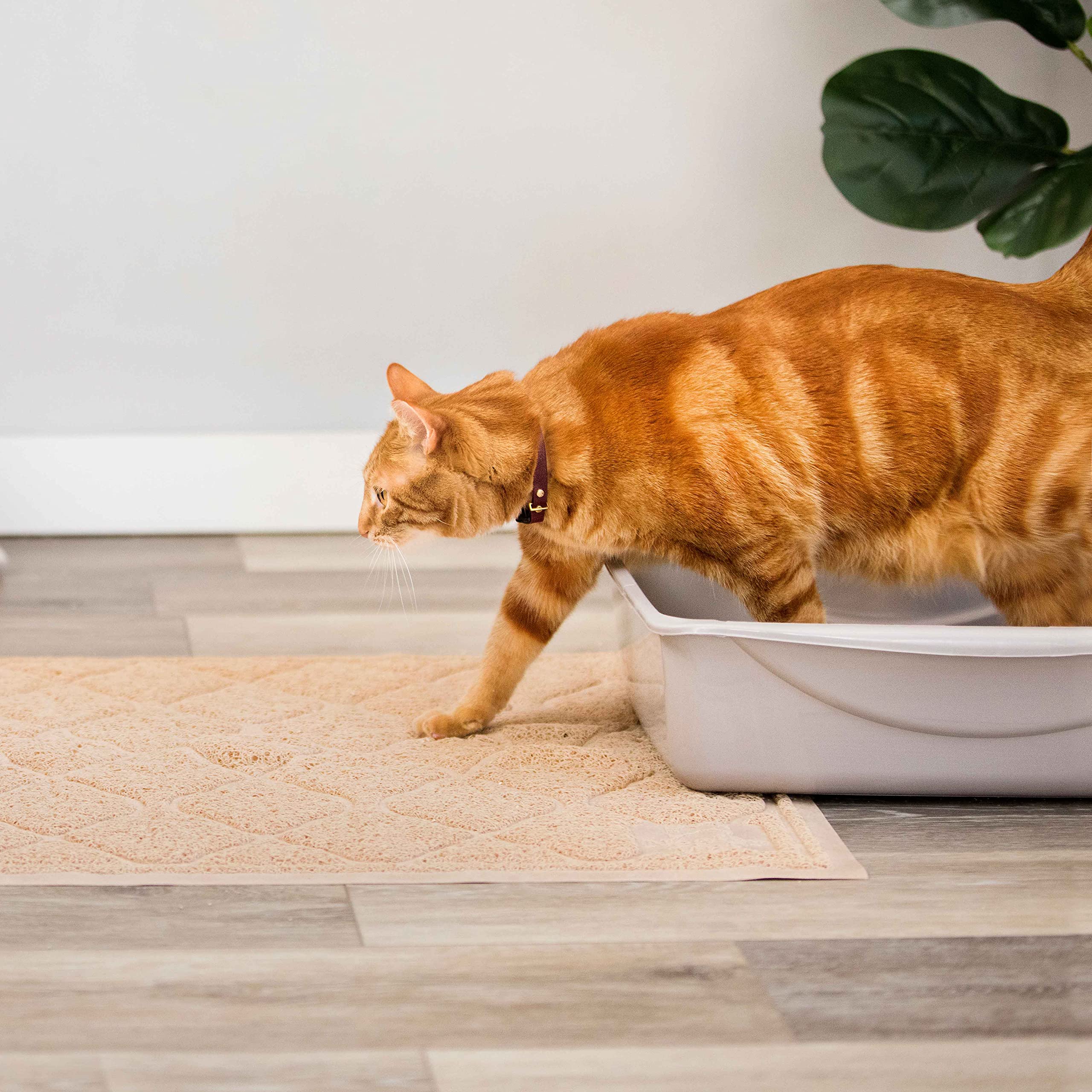 Tapete para Capturar Arena de Gatos Neater Pets Neater Mat, - Imagen 10