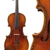 Violín D Z Strad con cuerdas Dominant - Modelo 601F -