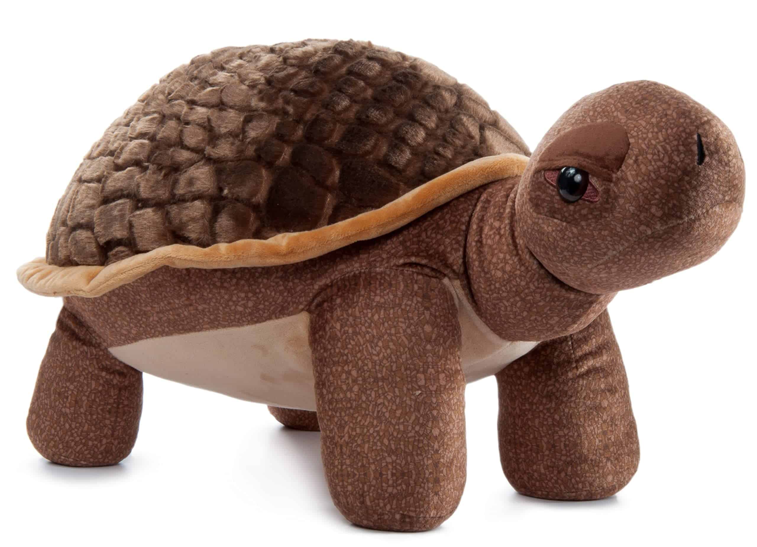 Peluche de Tortuga de The Petting Zoo, Regalos para Niños,