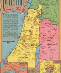 Rompecabezas de 1000 piezas del Mapa de Israel y Palestina