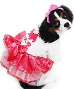 Vestido de bordado Aibo Real Dog Konanmoko (Mediano)