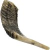 Shofar Tradicional de Israel, Instrumento -(10"-12")