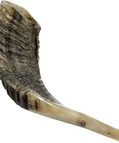 Shofar de Cuerno de Carnero Auténtico de Nana Gifts de