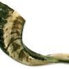 Shofar Tradicional de Israel, Instrumento Musical Natural