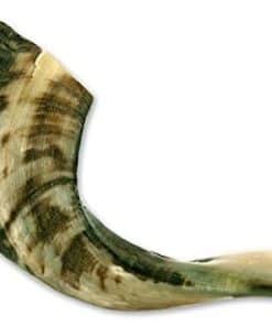 Shofar Tradicional de Israel, Instrumento Musical Natural