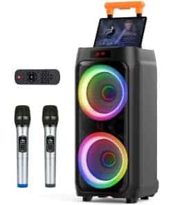 Máquina de Karaoke JYX con 2 micrófonos inalámbricos para