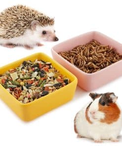 2 Pzas Comedero y Bebedero de Cerámica para Mascotas para