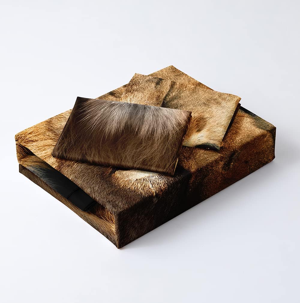 Juego de Funda de Edredón de León Holiyjog Tamaño Completo - Imagen 5