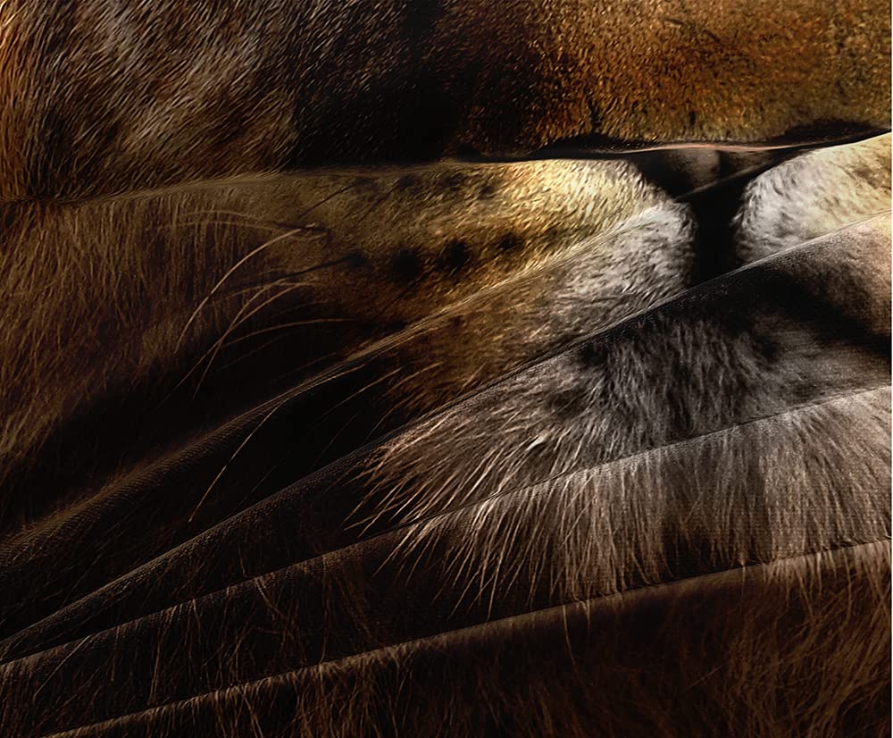 Juego de Funda de Edredón de León Holiyjog Tamaño Completo - Imagen 7