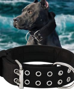 Collar para Perros Grandes - 2 en Collares Negros con Asa