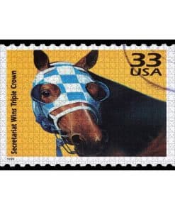 Rompecabezas de 1000 piezas OEPWQIWEPZ de imágenes de